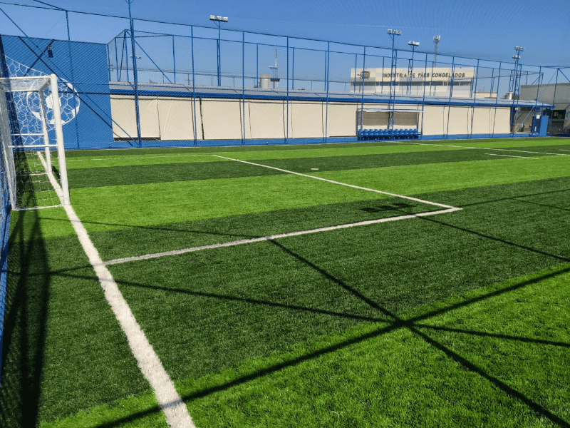 Césped deportivo