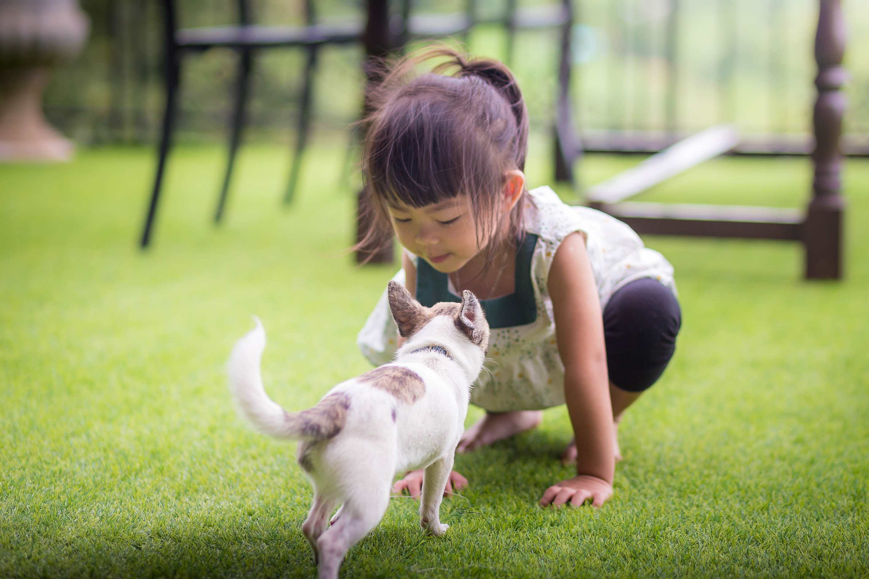 Césped sintético para mascotas y jardines de juegos