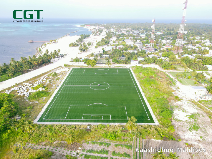 Césped de campo de fútbol