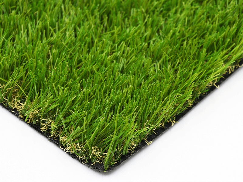 Backyard putting green turf