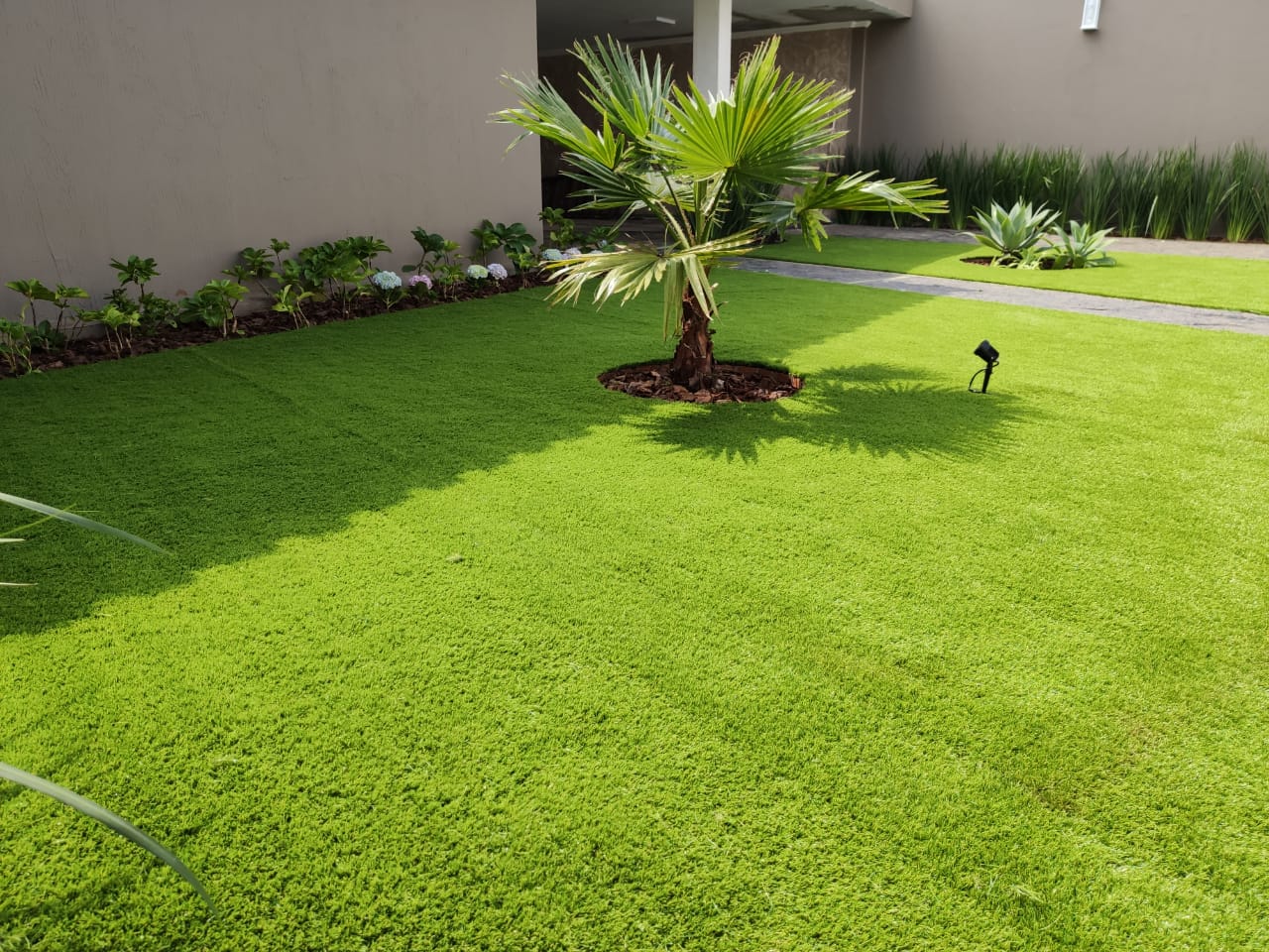 Césped casero para el jardín de casa