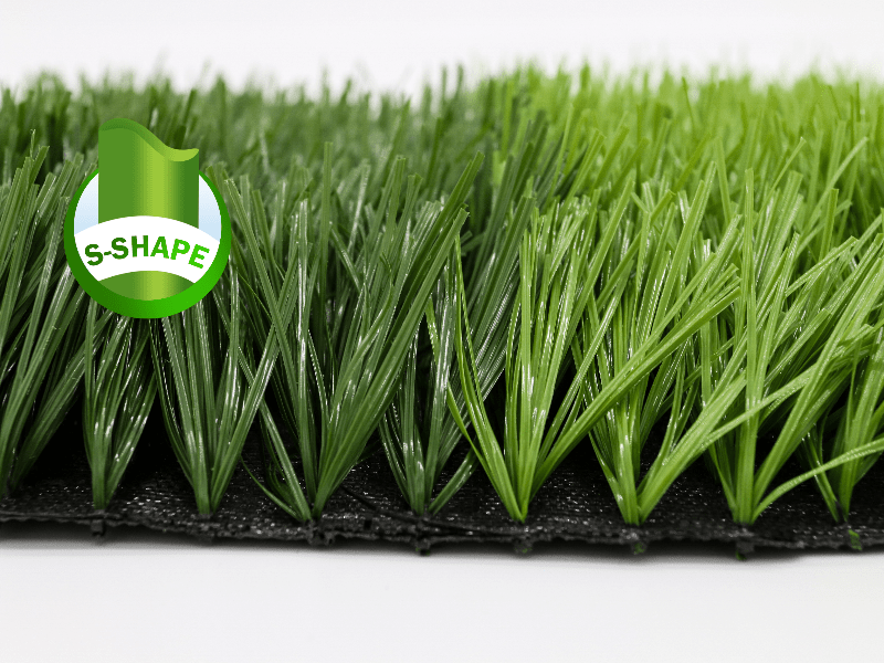 golf putting green turf